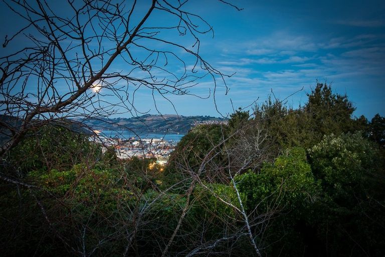 Photo of property in 365 Stuart Street, Roslyn, Dunedin, 9010