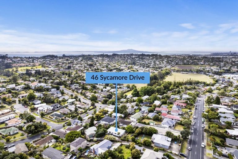 Photo of property in 1/46 Sycamore Drive, Sunnynook, Auckland, 0620