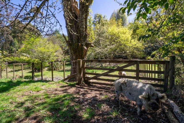 Photo of property in 401 Hamurana Road, Ngongotaha, Rotorua, 3097