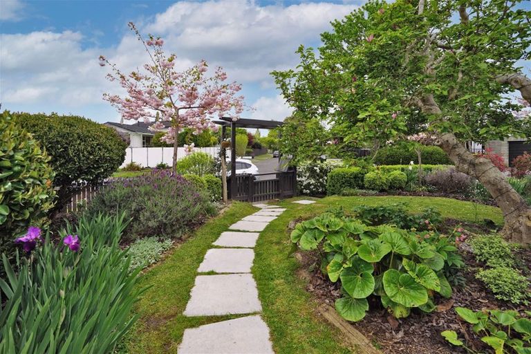 Photo of property in 46 Bernard Street, Chedworth, Hamilton, 3210