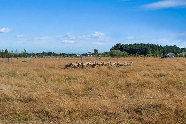 Photo of property in 104 Jordan Road, Waingawa, Carterton, 5791