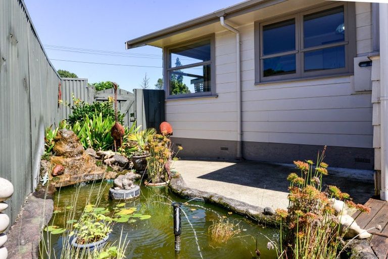 Photo of property in 54 Fitzroy Avenue, Fitzroy, Hamilton, 3206