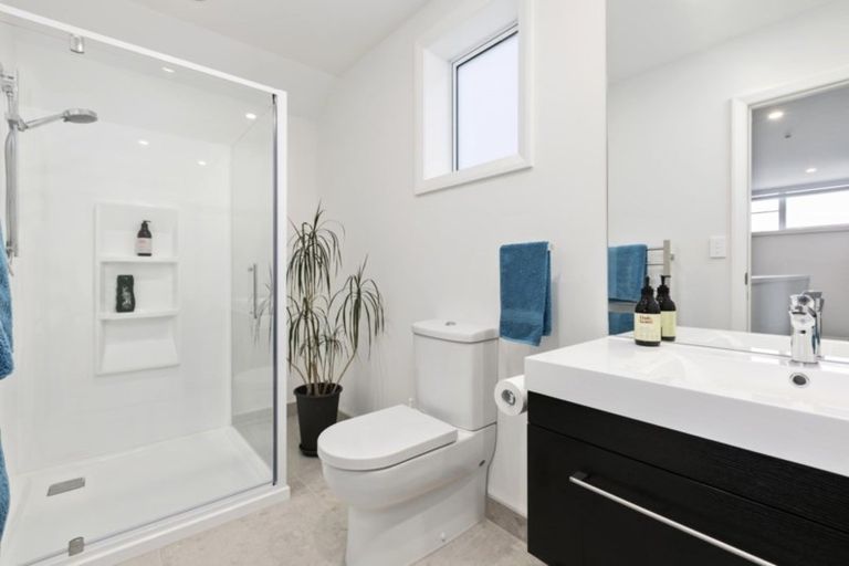 Photo of property in 214 Thirteenth Avenue, Tauranga South, Tauranga, 3112