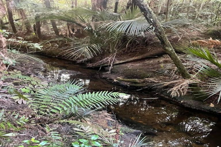 Photo of property in 165 Poyner Road, Makarau, Warkworth, 0981