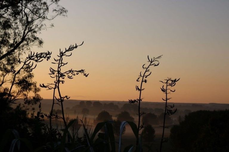 Photo of property in 206c State Highway 5, Tirau, 3485