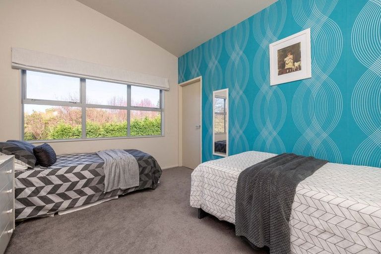 Photo of property in 38 Youngson Road, Whakamarama, Tauranga, 3180