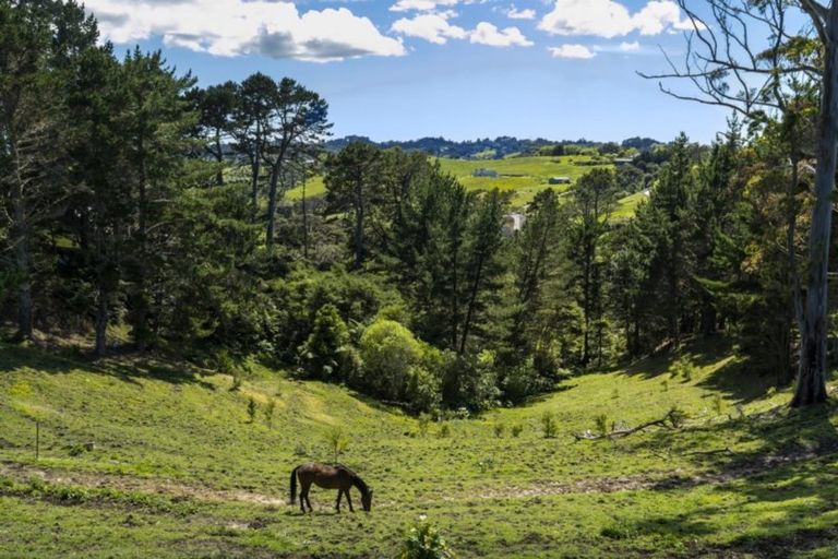 Photo of property in 235 Glenmore Road, Coatesville, Albany, 0793