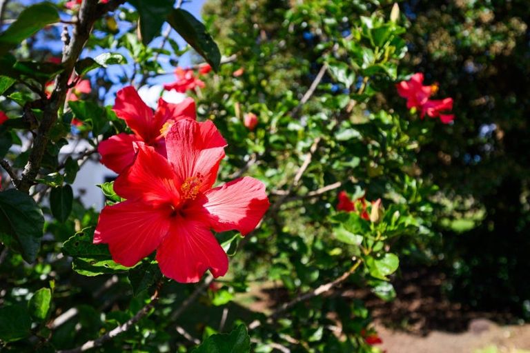 Photo of property in 1528 State Highway 14, Maungatapere, Whangarei, 0179