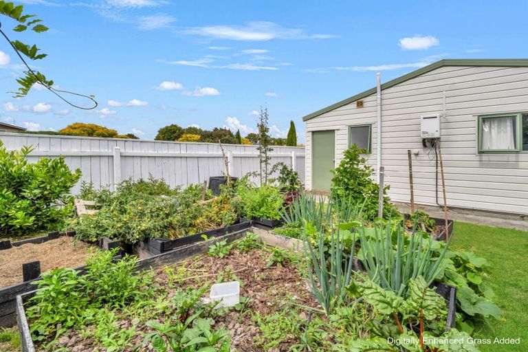 Photo of property in 111 Apollo Parade, Milson, Palmerston North, 4414