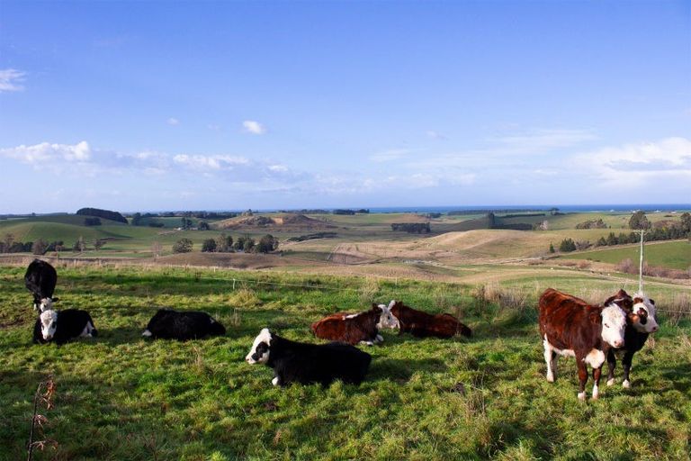 Photo of property in 246 Double Hill Road, Herbert, Oamaru, 9495