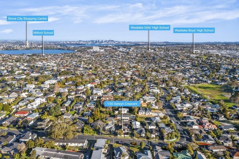 Photo of property in 1/30 Selwyn Crescent, Forrest Hill, Auckland, 0620