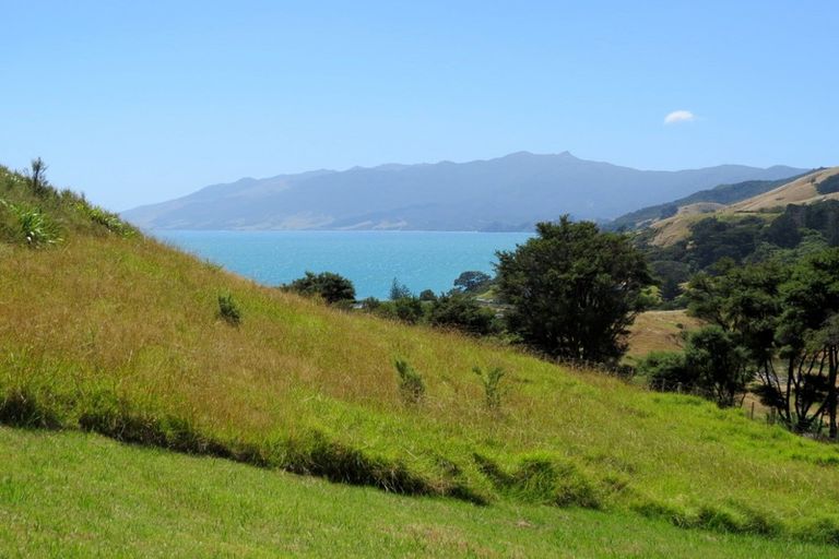 Photo of property in 1592 Colville Road, Amodeo Bay, Coromandel, 3584