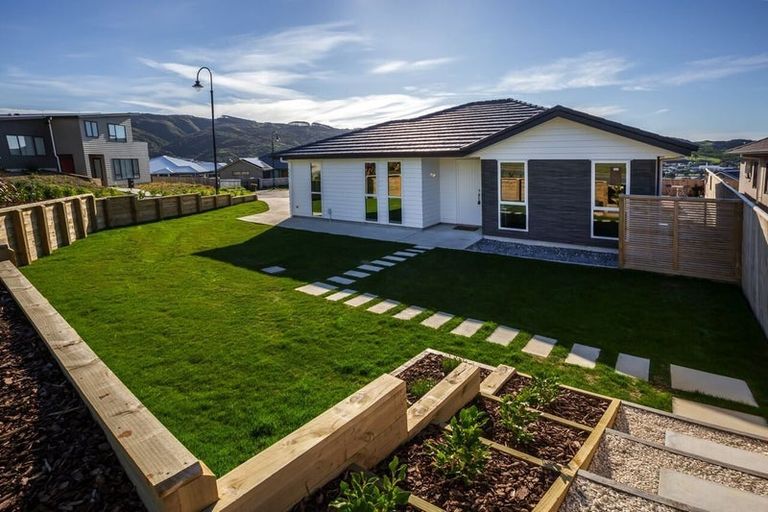 Photo of property in 64 John Burke Drive, Aotea, Porirua, 5024