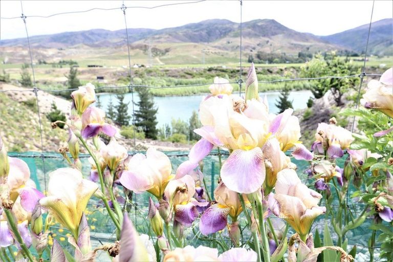 Photo of property in 124 Pearson Road, Cromwell, 9384