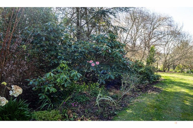 Photo of property in 260 Downs Road, Geraldine Downs, Geraldine, 7991