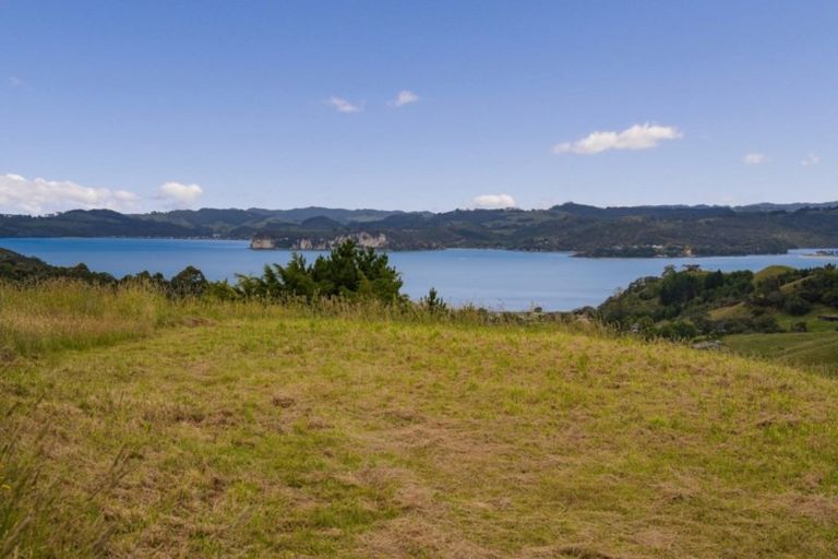 Photo of property in 79 Tarapatiki Drive, Whitianga, 3510