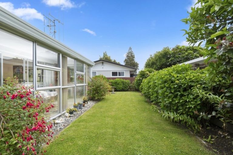 Photo of property in 3/224 Fourteenth Avenue, Tauranga South, Tauranga, 3112