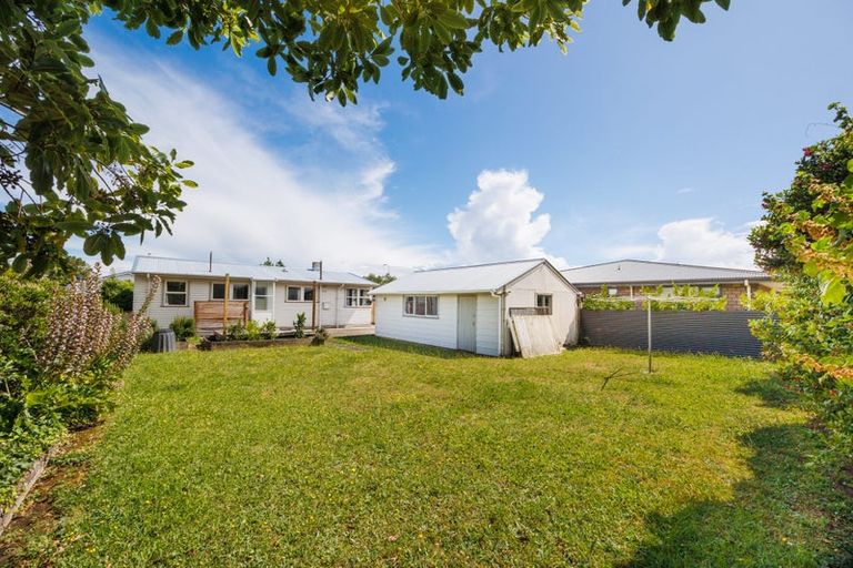 Photo of property in 102 Limbrick Street, Terrace End, Palmerston North, 4410