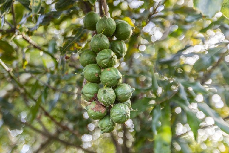 Photo of property in 10 Monmouth Place, Tamatea, Napier, 4112