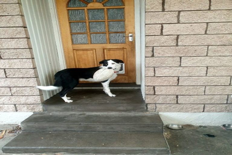 Photo of property in 8 Reid Street, Blaketown, Greymouth, 7805