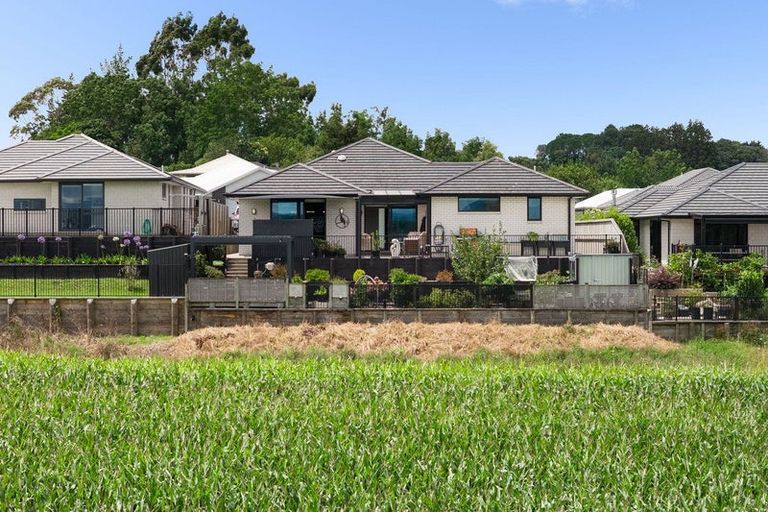 Photo of property in 20 Kirk Lane, Ohauiti, Tauranga, 3112