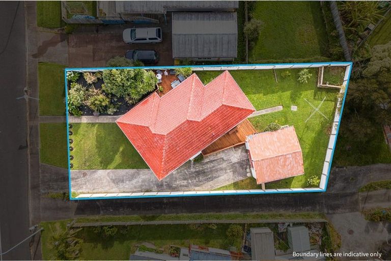 Photo of property in 40 Hindmarsh Street, Henderson, Auckland, 0612