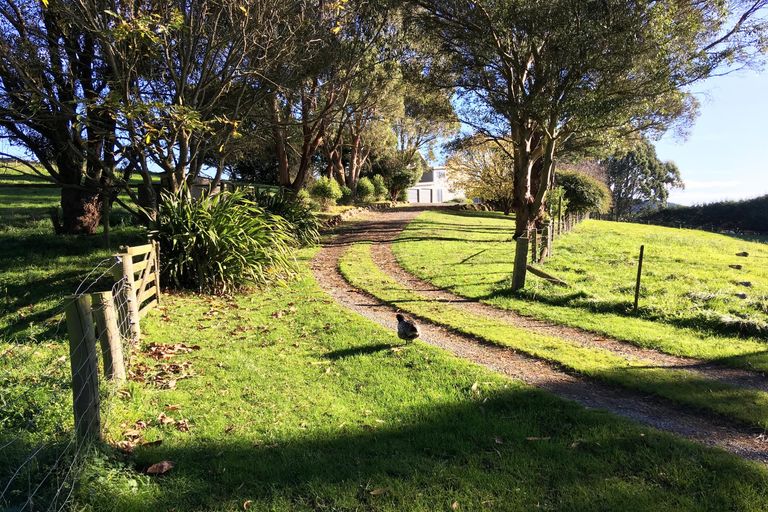 Photo of property in 1331 Waianakarua Road, Kakanui, Oamaru, 9495