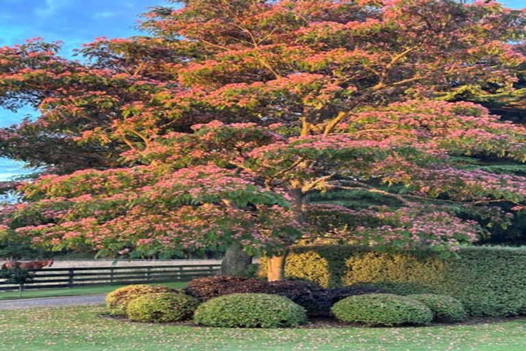 Photo of property in 241 Mangaroa Road, Bridge Pa, Hastings, 4174