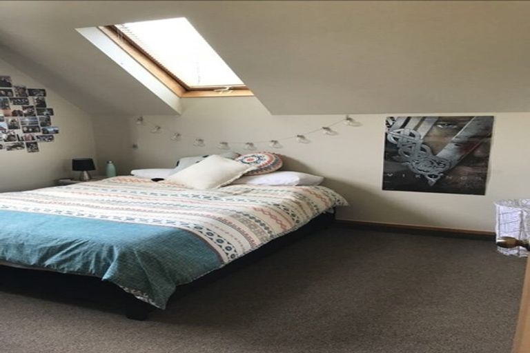 Photo of property in Includes 135, 137 Harbour Tce, 139 Harbour Terrace, North Dunedin, Dunedin, 9016