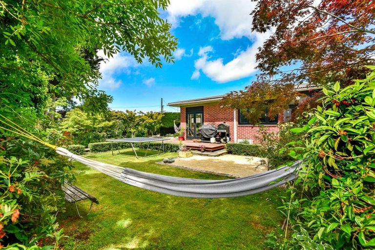 Photo of property in 5a Edward Street, Lincoln, 7608