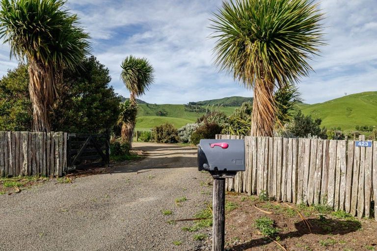 Photo of property in 423 Castle Hill Road, Alfredton, Eketahuna, 4996