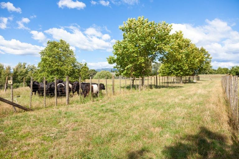 Photo of property in 191 Taihoa Road South, Matamata, 3473