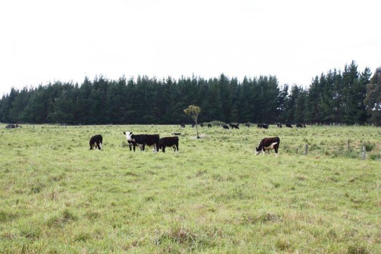 Photo of property in 119 Orari Back Road, Geraldine, 7992