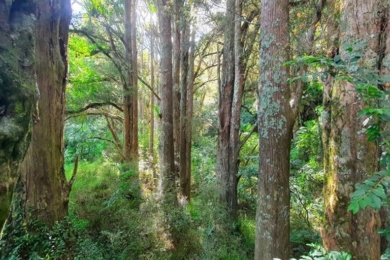 Photo of property in 805 Whangaripo Valley Road, Whangaripo, Wellsford, 0972