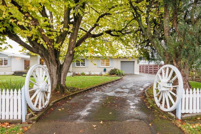 Photo of property in 101 Sherwill Street, Feilding, 4702