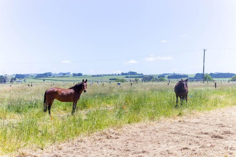Photo of property in 1204g State Highway 3, Kai Iwi, Wanganui, 4574