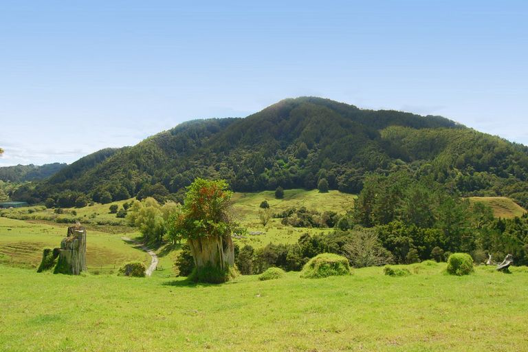 Photo of property in 2214 State Highway 1, Kaiwaka, 0573