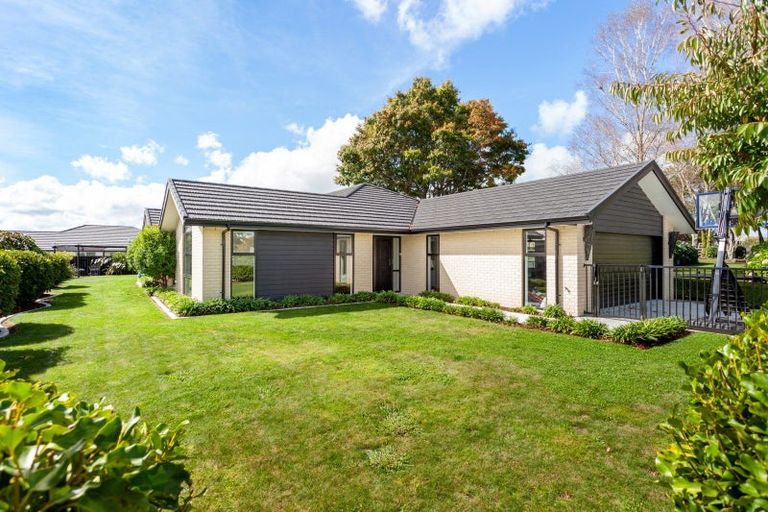 Photo of property in 35 Banks Road, Matamata, 3400