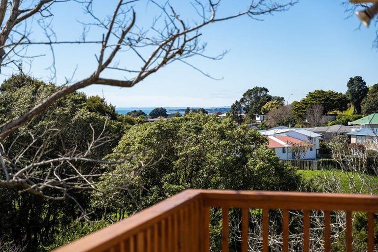 Photo of property in 133 Pioneer Road, Moturoa, New Plymouth, 4310