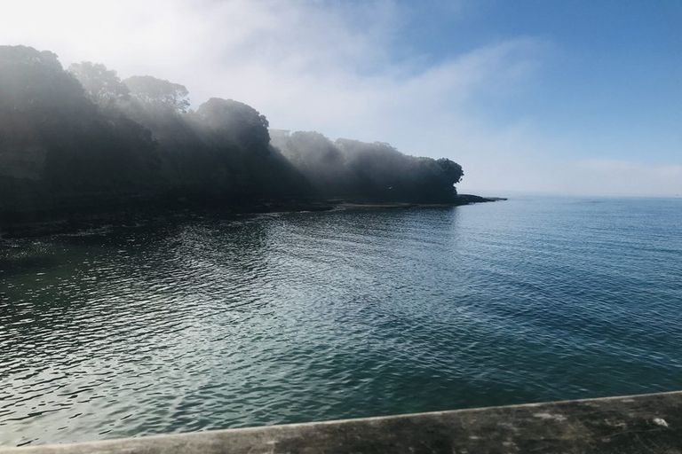 Photo of property in 23a Bournemouth Terrace, Murrays Bay, Auckland, 0630