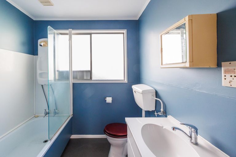 Photo of property in 101 Shamrock Street, Takaro, Palmerston North, 4412