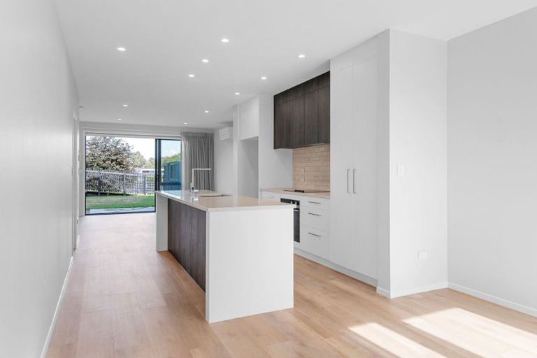 Photo of property in 53 Musselwhite Terrace, Chartwell, 3210