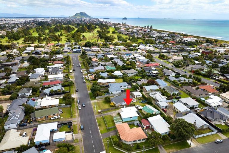 Photo of property in 21 Crane Street, Mount Maunganui, 3116