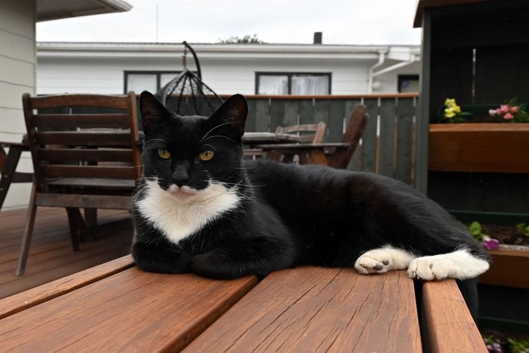 Photo of property in 18b Basley Road, Owhata, Rotorua, 3010