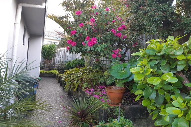 Photo of property in 27 Donald Street, Stanmore Bay, Whangaparaoa, 0932