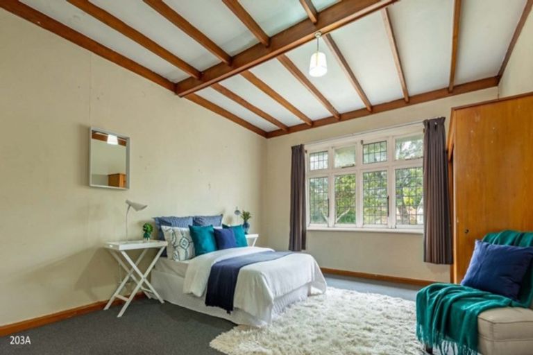 Photo of property in 203 College Street, West End, Palmerston North, 4412