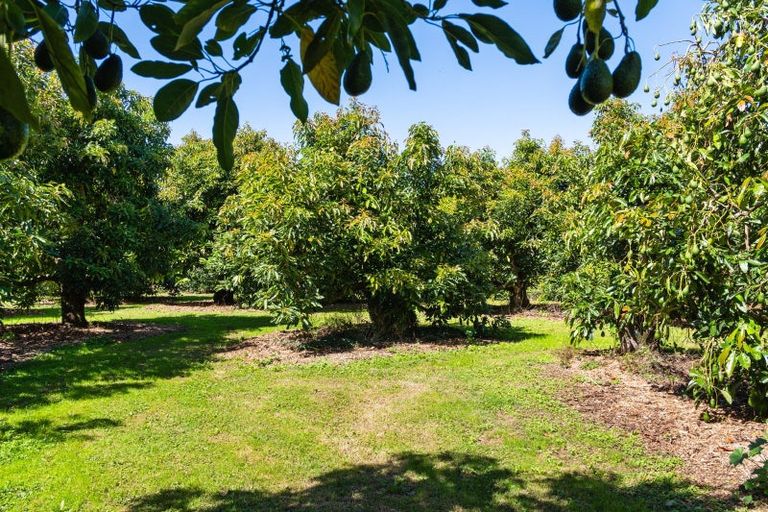 Photo of property in 42 Ferry Road, Waerengaahika, Gisborne, 4071