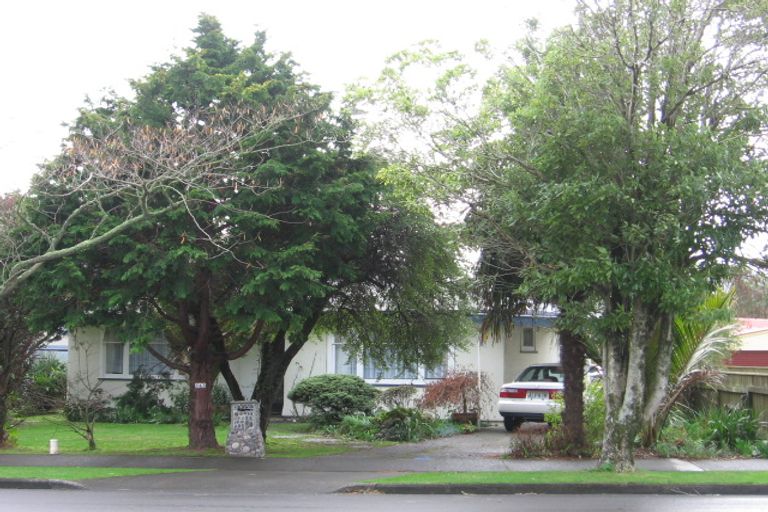 Photo of property in 117 Pahiatua Street, Hokowhitu, Palmerston North, 4410