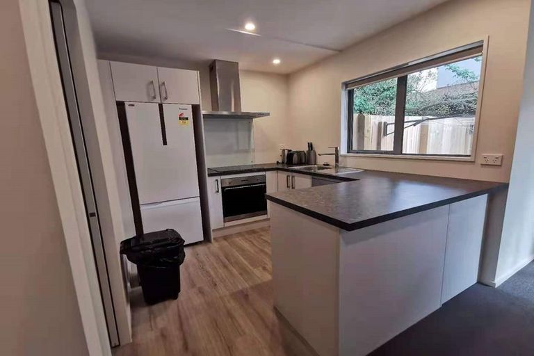 Photo of property in 1/2 Montana Avenue, Ilam, Christchurch, 8041