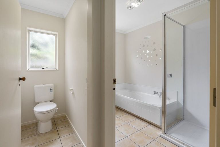 Photo of property in 81b Fourteenth Avenue, Tauranga South, Tauranga, 3112